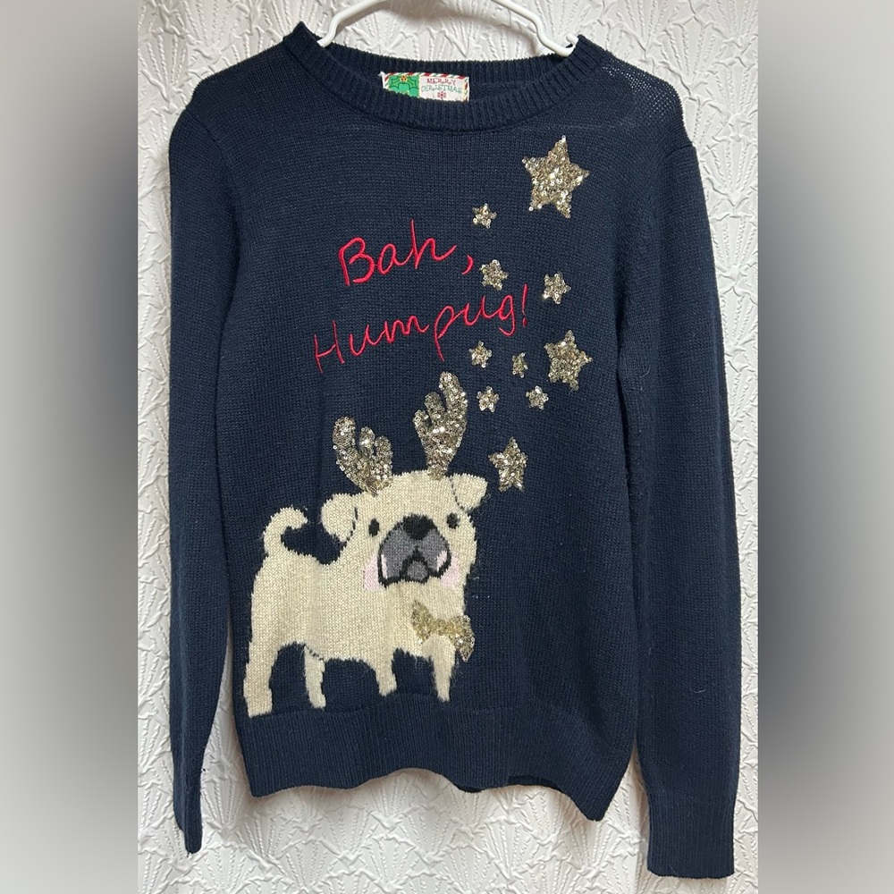 Festive Pug Sweater in Medium